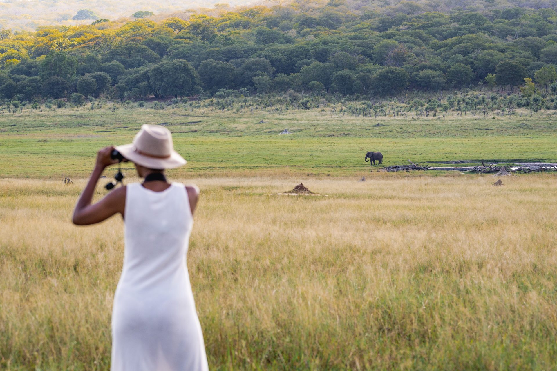 Matetsi Victoria Falls_game drives